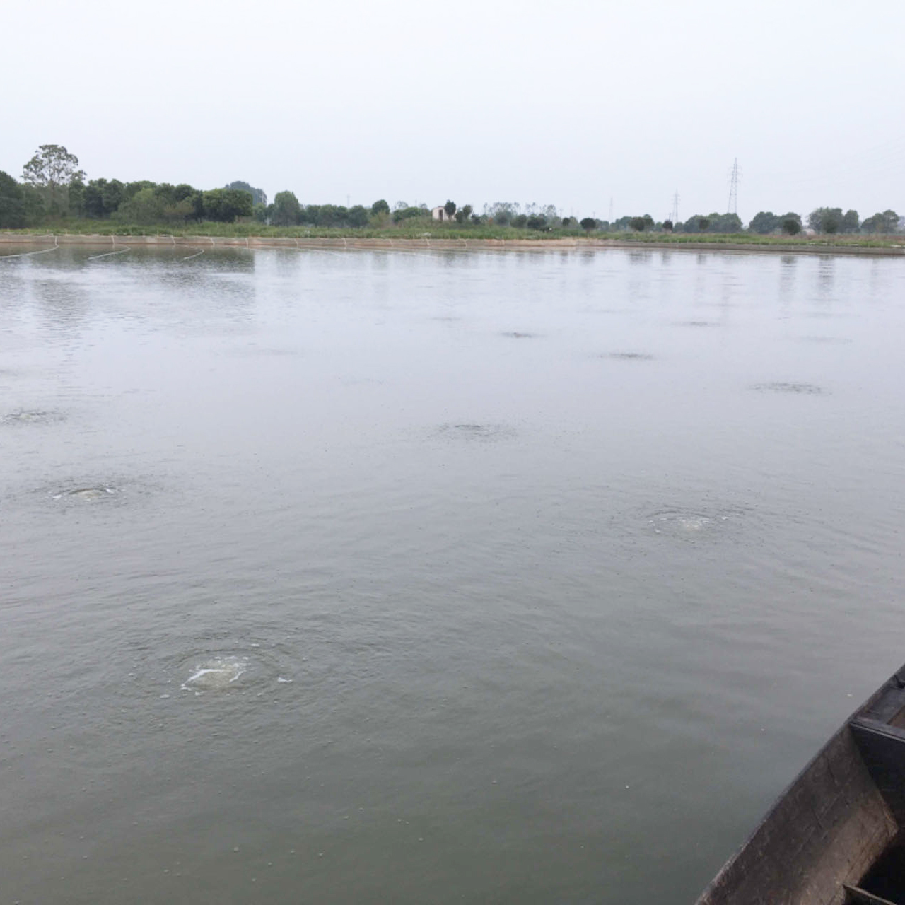 ���հ���С��Ϻ��ֳ����