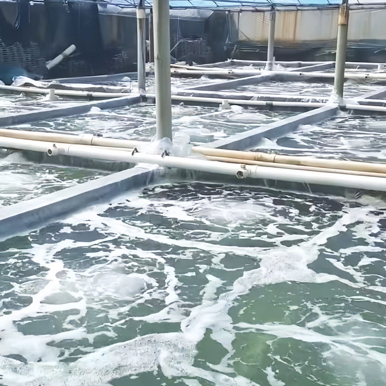 �������ݹ�����������Ϻ��ֳ����