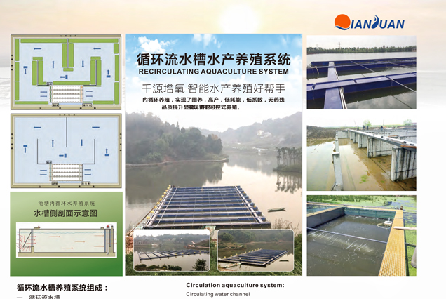 ������ѭ�� 