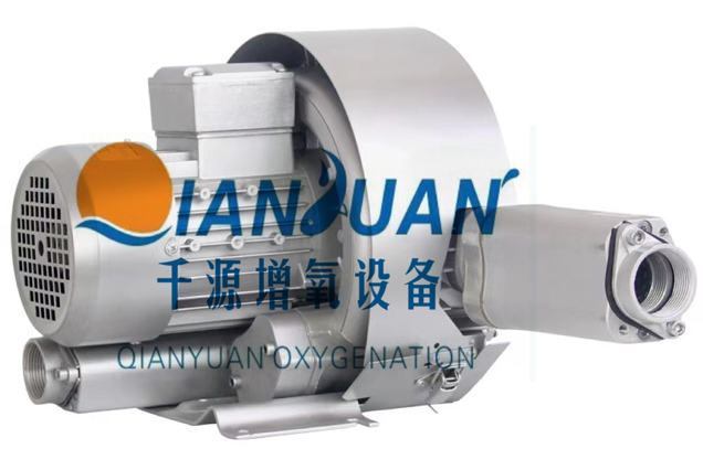 ˫�����з�� 